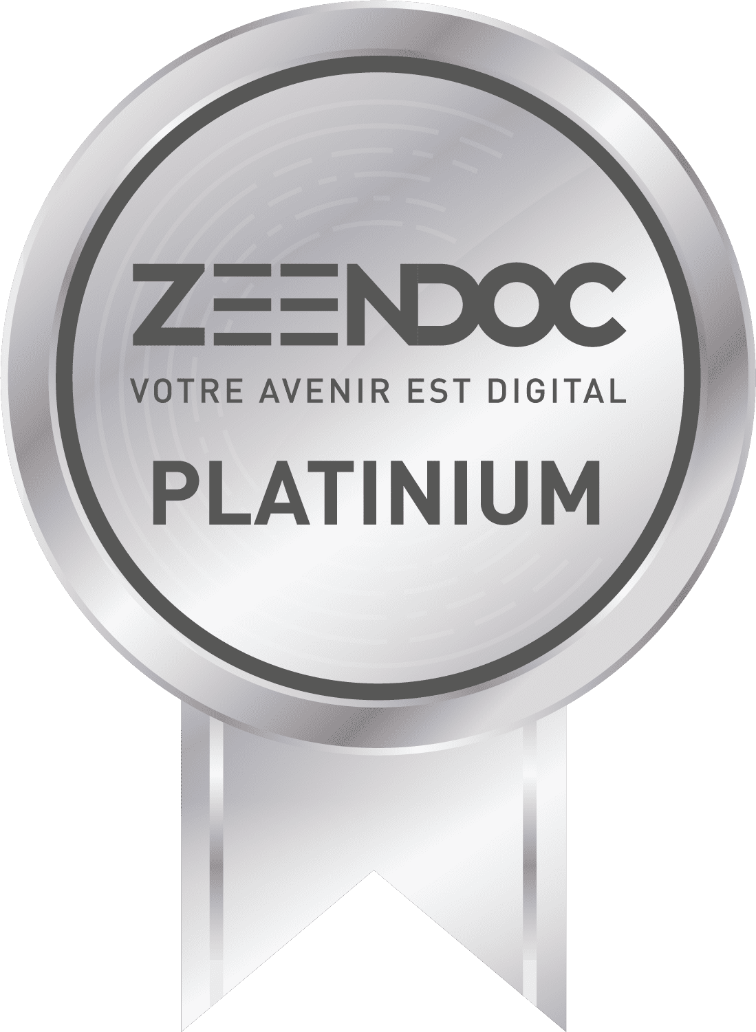 ZNDPlatinium logo